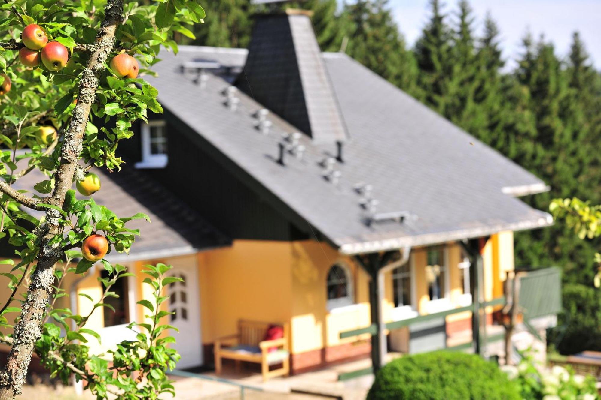 Schönheide Exklusives Ferienhaus "Waldzauber" Ruhe Und Natur Pur Am Waldrand Geniessen מראה חיצוני תמונה